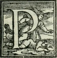 An illustration from Il rimanente de le piacevole, et ingeniose lettere indirizzate a diuersi, con bellissime argutie. Sotto varii, et sottilissimi discorsi, dechiarati (1557)