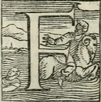 An illustration from Il rimanente de le piacevole, et ingeniose lettere indirizzate a diuersi, con bellissime argutie. Sotto varii, et sottilissimi discorsi, dechiarati (1557)