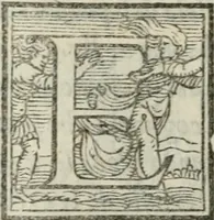 An illustration from Il rimanente de le piacevole, et ingeniose lettere indirizzate a diuersi, con bellissime argutie. Sotto varii, et sottilissimi discorsi, dechiarati (1557)