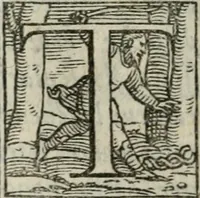 An illustration from Il rimanente de le piacevole, et ingeniose lettere indirizzate a diuersi, con bellissime argutie. Sotto varii, et sottilissimi discorsi, dechiarati (1557)