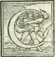 An illustration from Il rimanente de le piacevole, et ingeniose lettere indirizzate a diuersi, con bellissime argutie. Sotto varii, et sottilissimi discorsi, dechiarati (1557)