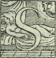 Picture 4 of 28 from Il rimanente de le piacevole, et ingeniose lettere indirizzate a diuersi, con bellissime argutie. Sotto varii, et sottilissimi discorsi, dechiarati (1557), leaf 8
