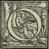 An illustration from Il rimanente de le piacevole, et ingeniose lettere indirizzate a diuersi, con bellissime argutie. Sotto varii, et sottilissimi discorsi, dechiarati (1557)