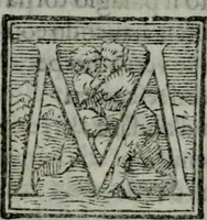An illustration from Il riposo di Raffaello Borghini, in cvi della pittvra, e della scultura si fauella, de'piu illustri pittori, e scultori, et delle piu famose opere loro si fa mentione; e le cose principali appartenenti à dette arti s'insegnano (1584)