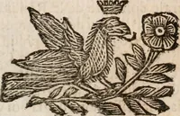 An illustration from Il ritratto di Milano : diuiso in tre libri (1674)