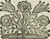 An illustration from Il ritratto di Milano : diuiso in tre libri (1674)