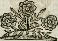 An illustration from Il ritratto di Milano : diuiso in tre libri (1674)