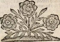 An illustration from Il ritratto di Milano : diuiso in tre libri (1674)