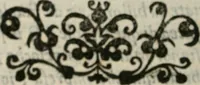 An illustration from Il Rota overo dell'imprese : dialogo (1562)