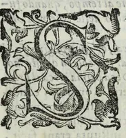 An illustration from Il Rusco, ouero, Dell'historia della famiglia Rusca libri tre (1610)
