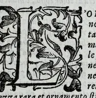 An illustration from Il Rusco, ouero, Dell'historia della famiglia Rusca libri tre (1610)