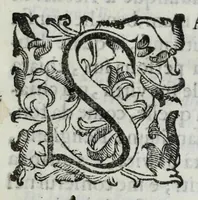 An illustration from Il Rusco, ouero, Dell'historia della famiglia Rusca libri tre (1610)