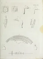 An illustration from Il Sepolcro dei Volunni scoperto in Perugia nel febbrajo del 1840 : ed altri monumenti inediti etruschi e romani ... (1840)