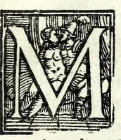 An illustration from Il Sergio : comedia nvova, et piacevole : pvr hora posta in lvce (1568)