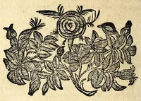 An illustration from Il serraglio de gli stupori del mondo, di Tomaso Garzoni da Bagnacavallo : diuiso in diece appartamenti, secondo i vari, & ammirabili oggetti : cioè di mostri, prodigii, prestigii ... : narrate da' più celebri scrittori, e descritte da' più famosi historici, e poeti, le quali talhora occorrono, considerandosi la loro probabilità, overo improbabilità, secondo la natura ... (1613)