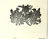 An illustration from Il serraglio de gli stupori del mondo, di Tomaso Garzoni da Bagnacavallo : diuiso in diece appartamenti, secondo i vari, & ammirabili oggetti : cioè di mostri, prodigii, prestigii ... : narrate da' più celebri scrittori, e descritte da' più famosi historici, e poeti, le quali talhora occorrono, considerandosi la loro probabilità, overo improbabilità, secondo la natura ... (1613)