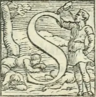 An illustration from Il servigiale (1561)