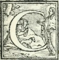 An illustration from Il servigiale (1561)