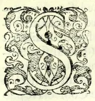 Picture 3 of 11 from Il servo fedele : comedia nvova (1586), leaf 11