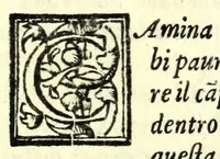 An illustration from Il servo fedele : comedia nvova (1586)