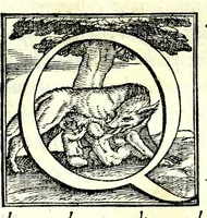 Picture 4 of 16 from Il soldato (1570), leaf 9