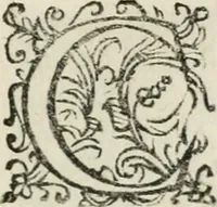 An illustration from Il Solimano : tragedia (1620)
