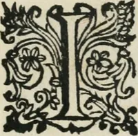 An illustration from Il Solimano : tragedia (1620)