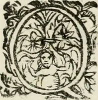 An illustration from Il Solimano : tragedia (1620)