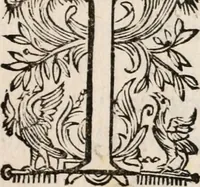 An illustration from Il Solimano : tragedia (1620)