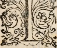 An illustration from Il Solimano : tragedia (1620)
