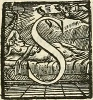 An illustration from Il sontvoso apparato fatto dalla magnifica citta di Brescia nel felice ritorno dell'illv. & reuerendiss. vescouo suo il cardinale Morosini : con la spositione de' sensi simbolici che in esso si contengono (1591)