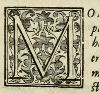 An illustration from Il svperbo torneo fatto nella regia città di Pavia, il carneuale del 1587 (1587)