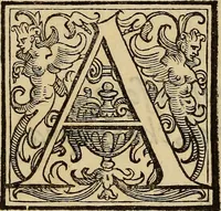 An illustration from Il Tancredi : tragedia del conte di Camerano (1588)