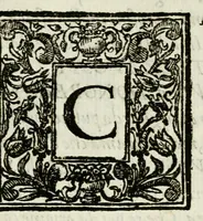 An illustration from Il teatro dell' honore : academia mista d' essercitij letterari e cauallereschi, solita celebrarsi sù 'l fine dell'anno in Collegio de' nobili di Parma per rimeritare quei signori convittori, che nello studio delle lettere e dell'arti caualleresche si sono sopra gli altri segnalati, tenuta quest'anno 1673, li 20. agosto e dedicata all' Altezza Serenissima di Ranuccio II, duca di Parma, &c (1673)