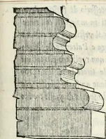 An illustration from Il terzo libro : nel qval si figvrano, e descrivono le antiqvita di Roma, e le altre che sono in Italia e fvori d'Italia ... (1540)