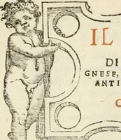 Picture 108 of 437 from Il terzo [-qvinto] libro ... (1551), leaf 100