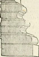 An illustration from Il terzo [-qvinto] libro ... (1551)