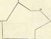 Picture 21 of 437 from Il terzo [-qvinto] libro ... (1551), leaf 13