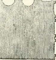 An illustration from Il terzo [-qvinto] libro ... (1551)