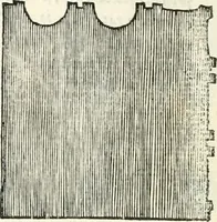 Picture 208 of 437 from Il terzo [-qvinto] libro ... (1551), leaf 201