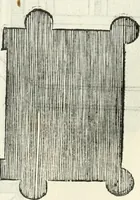 Picture 214 of 437 from Il terzo [-qvinto] libro ... (1551), leaf 203