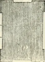 Picture 218 of 437 from Il terzo [-qvinto] libro ... (1551), leaf 207