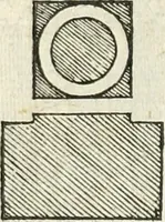 Picture 227 of 437 from Il terzo [-qvinto] libro ... (1551), leaf 209
