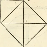 An illustration from Il terzo [-qvinto] libro ... (1551)