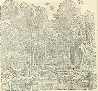 An illustration from Il terzo [-qvinto] libro ... (1551)