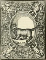 An illustration from Il terzo [-qvinto] libro ... (1551)