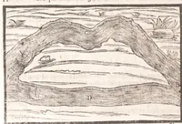 Picture 22 of 50 from Il Teuere incatenato, ouero, L'arte di frenar l'acque correnti (1663), leaf 248