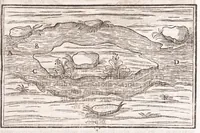 Picture 29 of 50 from Il Teuere incatenato, ouero, L'arte di frenar l'acque correnti (1663), leaf 309