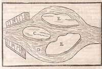 Picture 46 of 50 from Il Teuere incatenato, ouero, L'arte di frenar l'acque correnti (1663), leaf 388