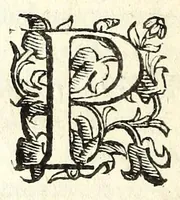 An illustration from Il Travaglia : comedia (1601)